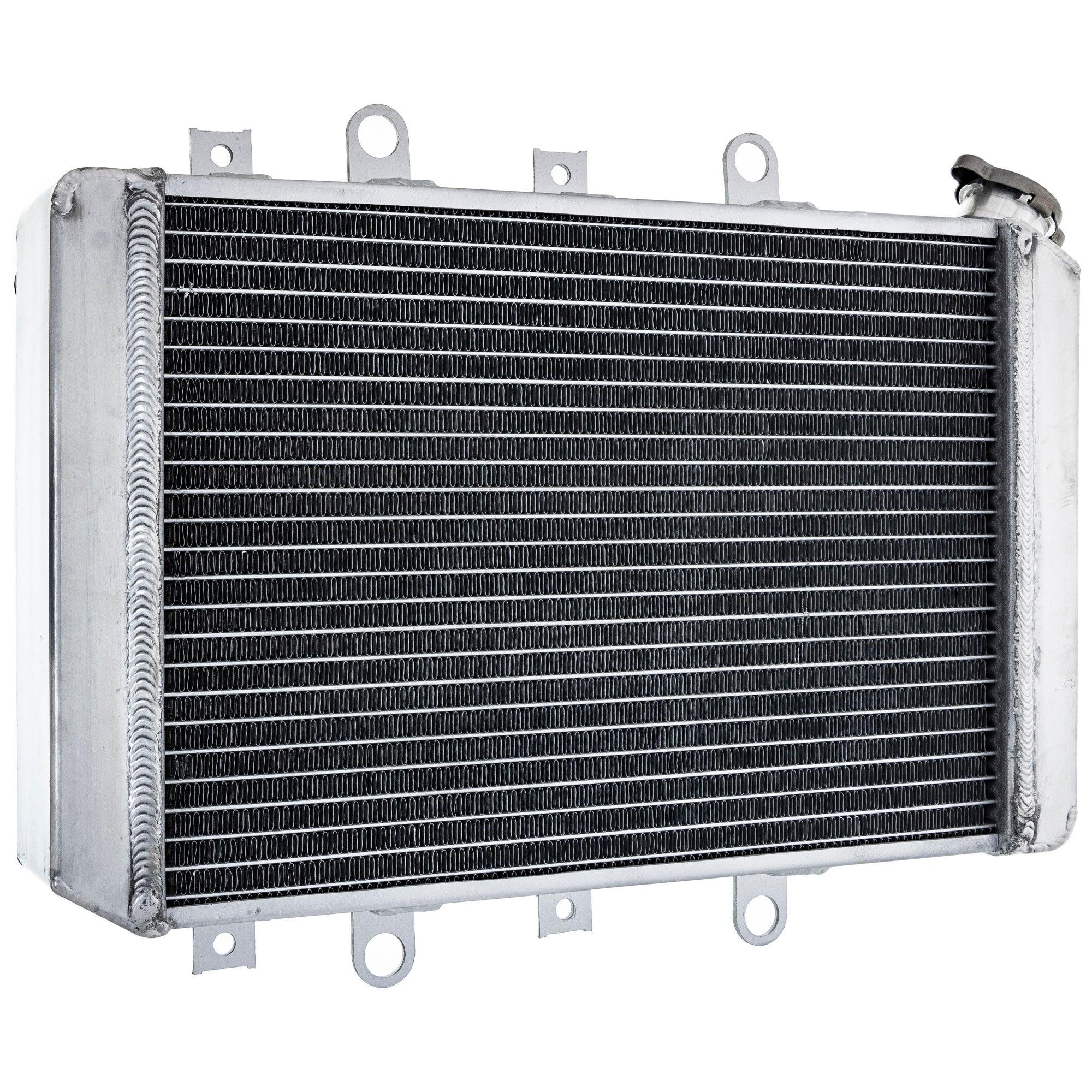 Radiator for Yamaha Grizzly 550 700 YFM550FG 1HP-E2460-00-00 with Cap