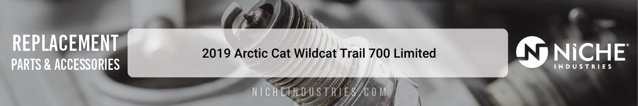 2019 Arctic Cat Wildcat Trail 700 Limited