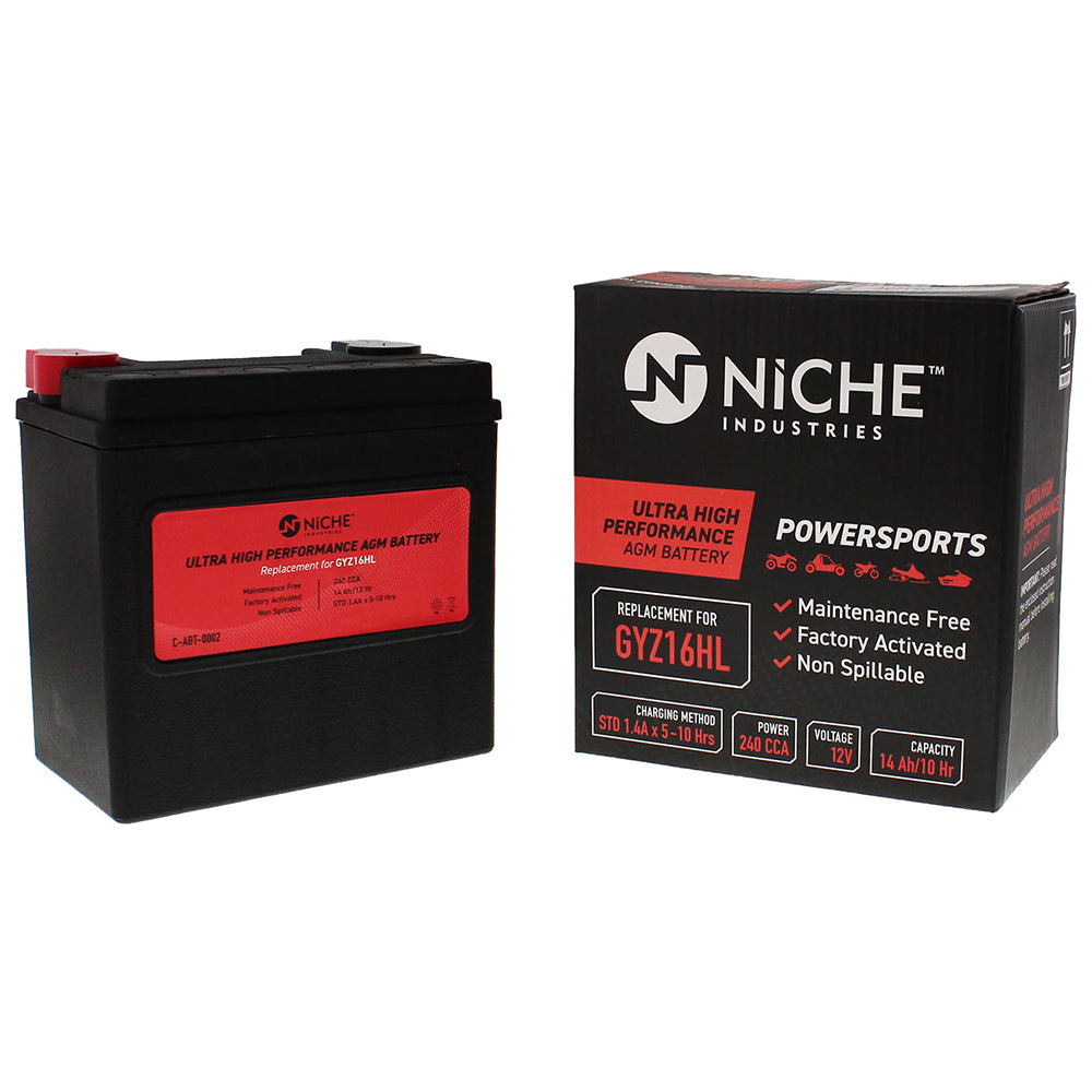 NICHE Maintenance Free Battery