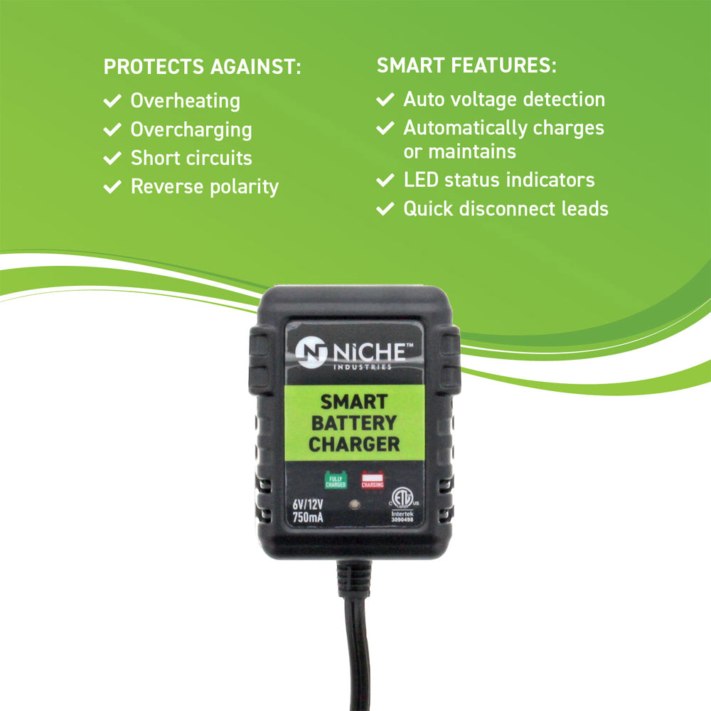 NICHE MK1001690 Maintenance Free Battery