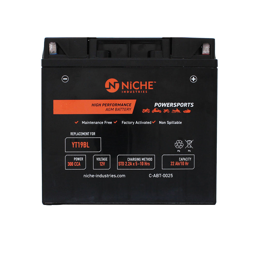 NICHE 519-CAB2247T Maintenance Free Battery