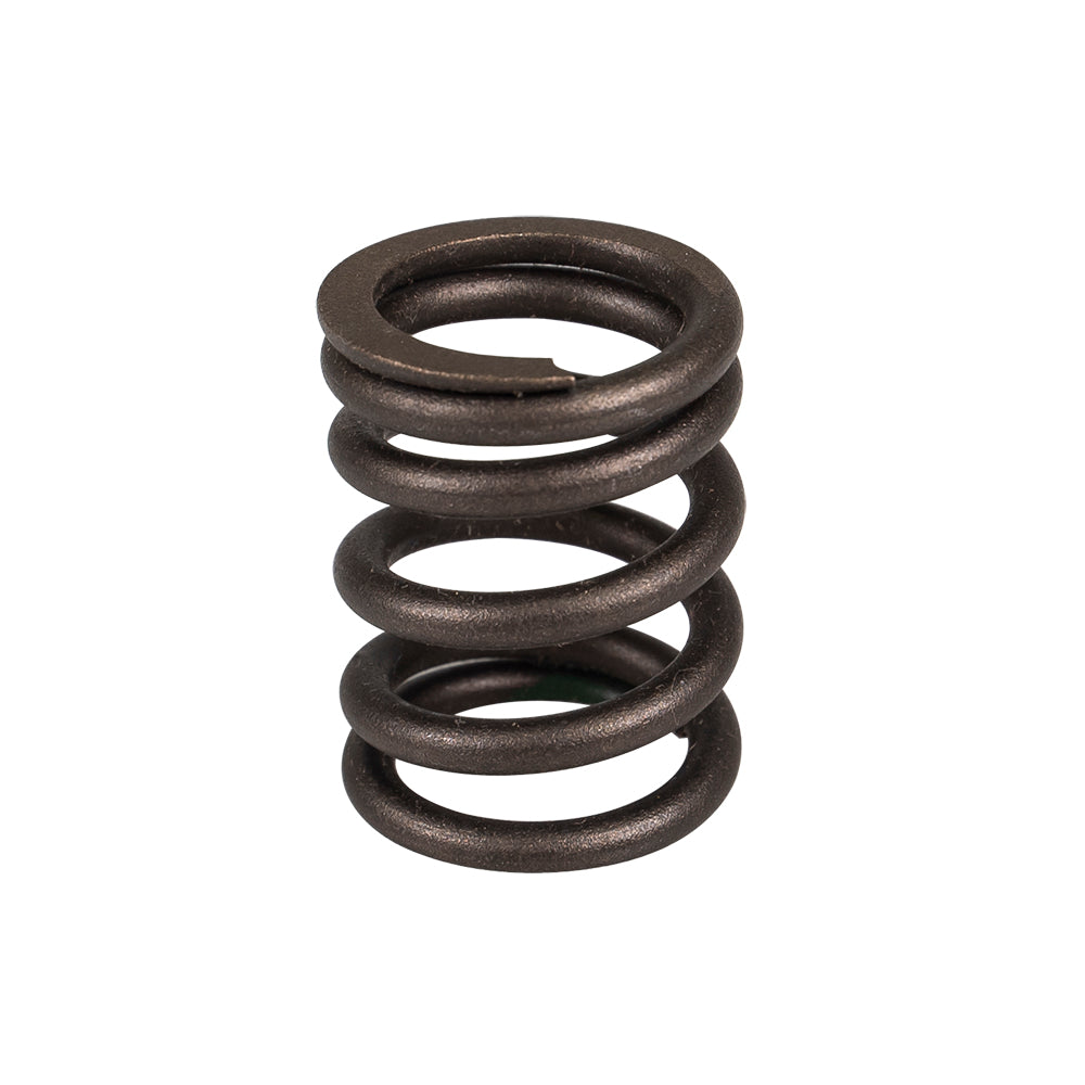 Cylinder Outer Valve Spring for Yamaha Yamahauler Tri Timberwolf Pro 4G0-12114-01-00 NICHE 519-CVS2232P